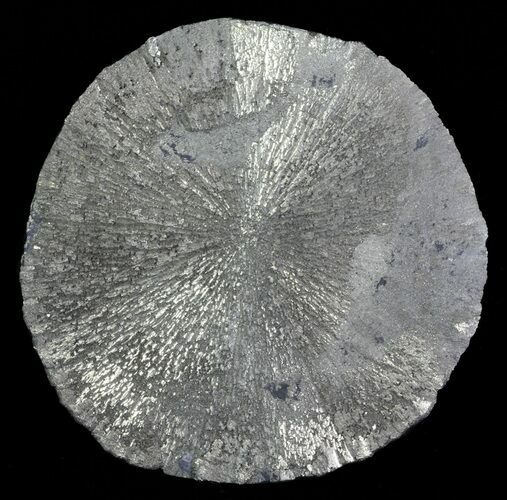 Beautiful Pyrite Sun - Illinois #63478
